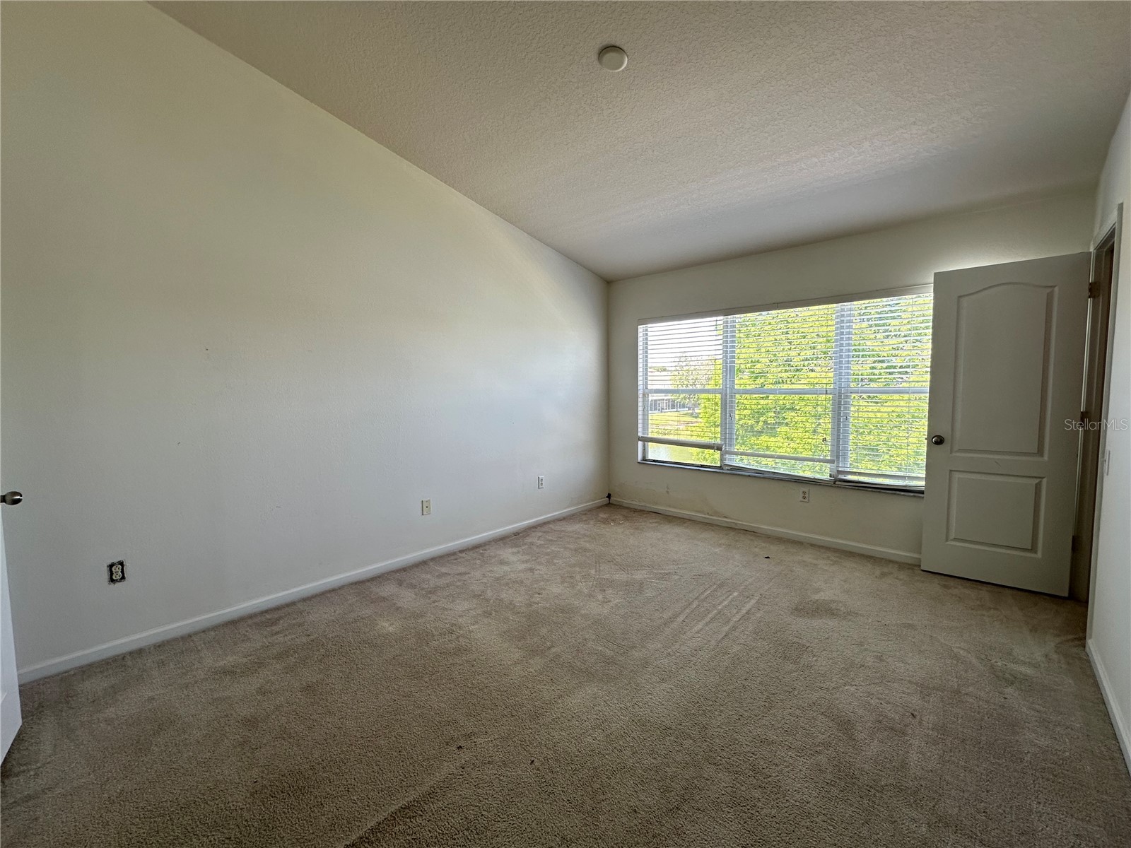 4871 Pond Ridge Drive Riverview FL 33578 TB8504042 image16