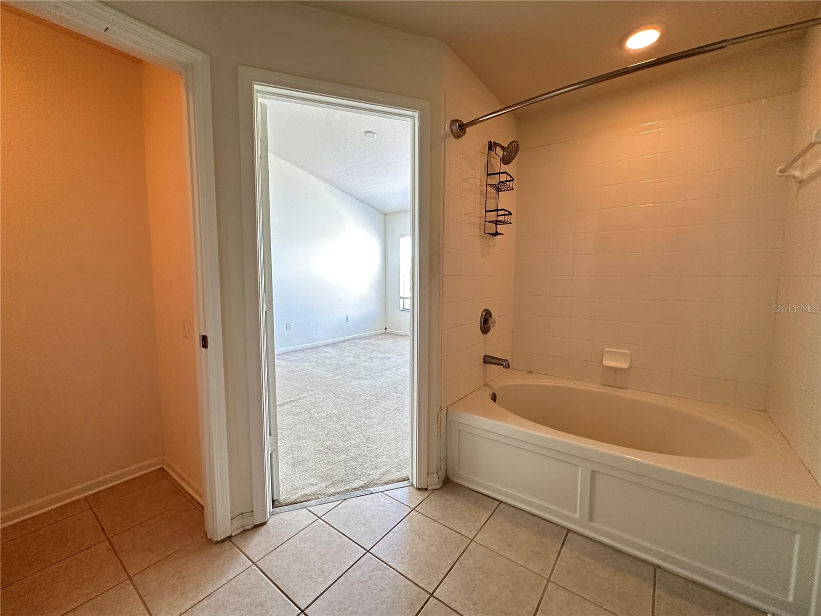 4871 Pond Ridge Drive Riverview FL 33578 TB8504042 image18