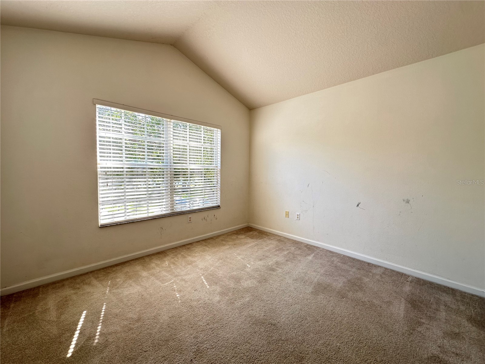 4871 Pond Ridge Drive Riverview FL 33578 TB8504042 image25