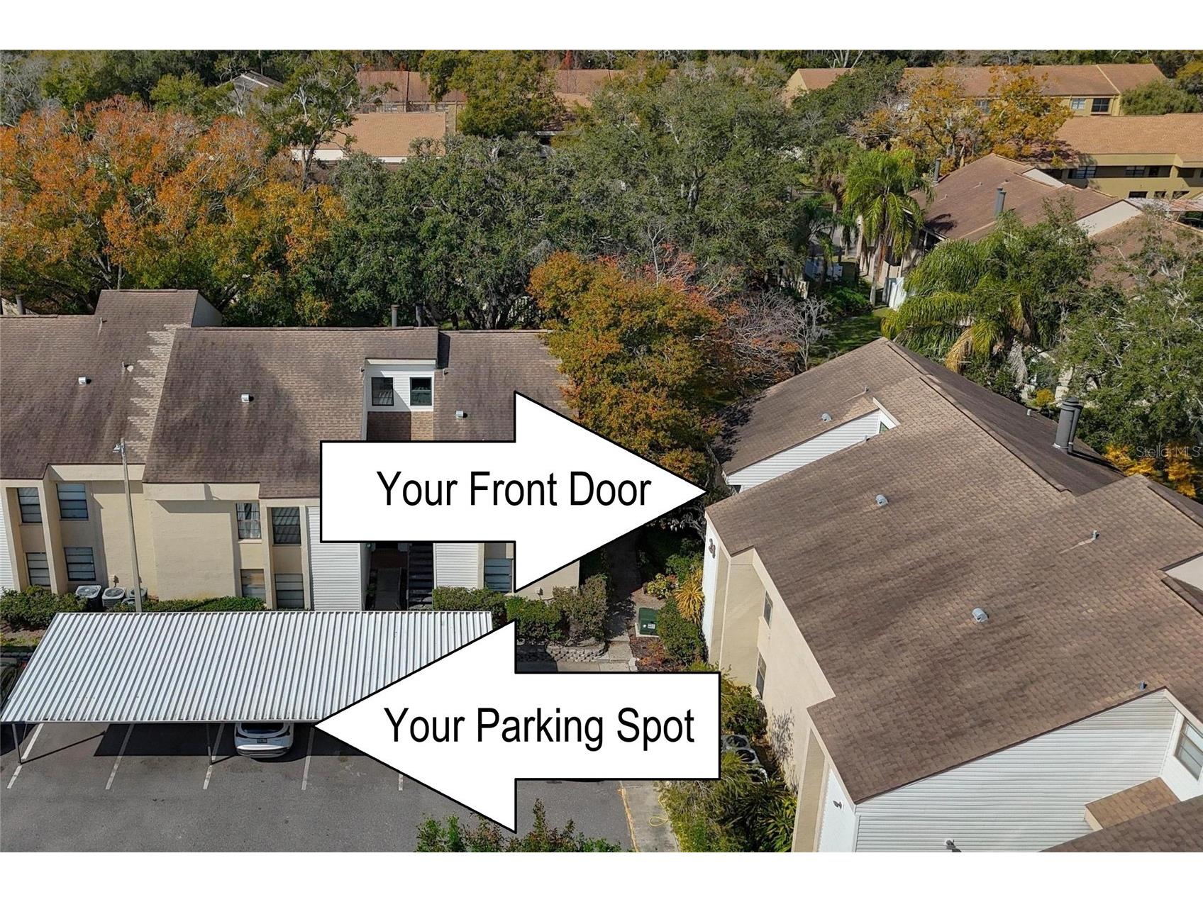 4871 Puritan Circle Tampa FL 33617 TB8476565 image33