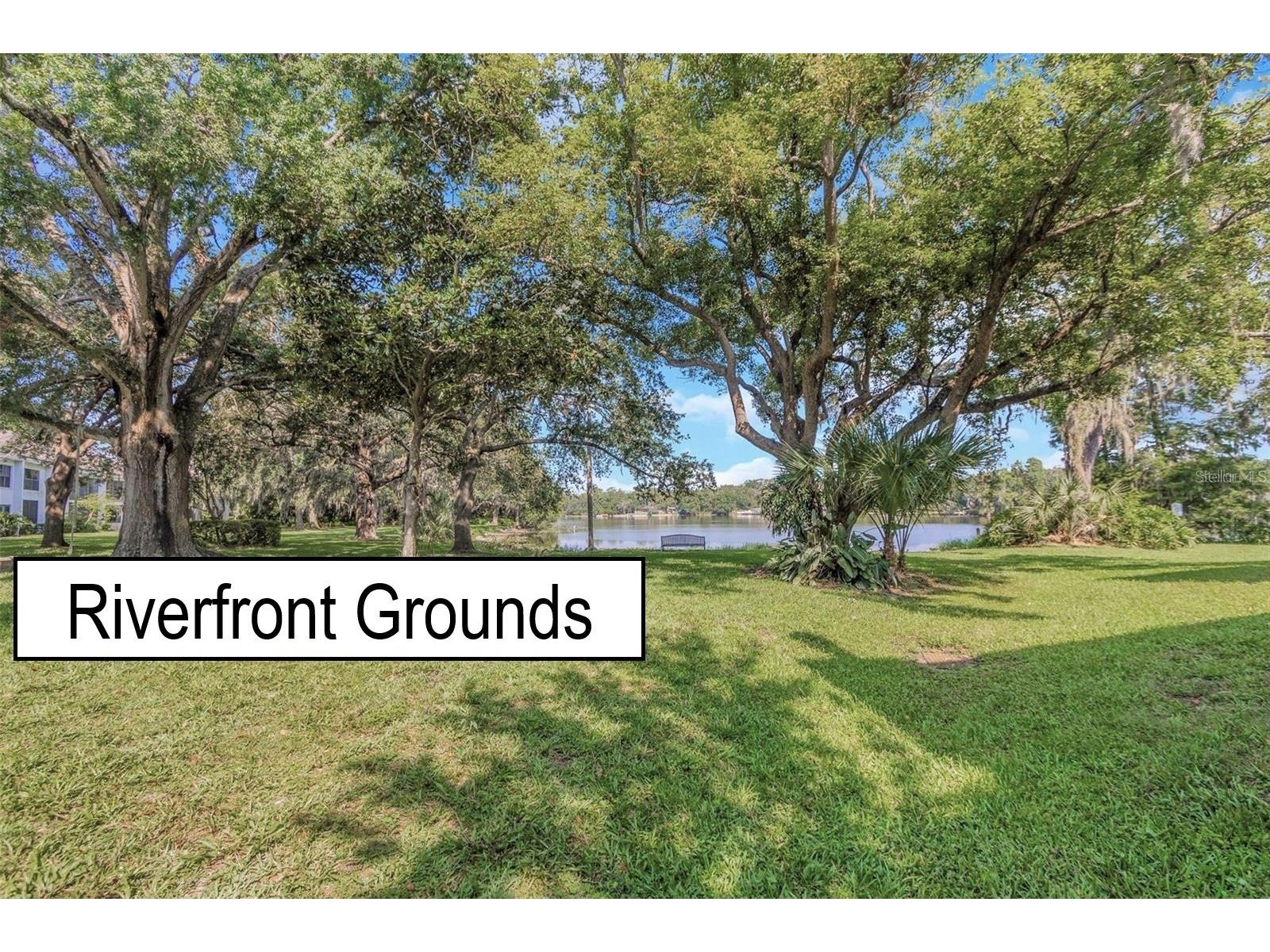 4871 Puritan Circle Tampa FL 33617 TB8476565 image35