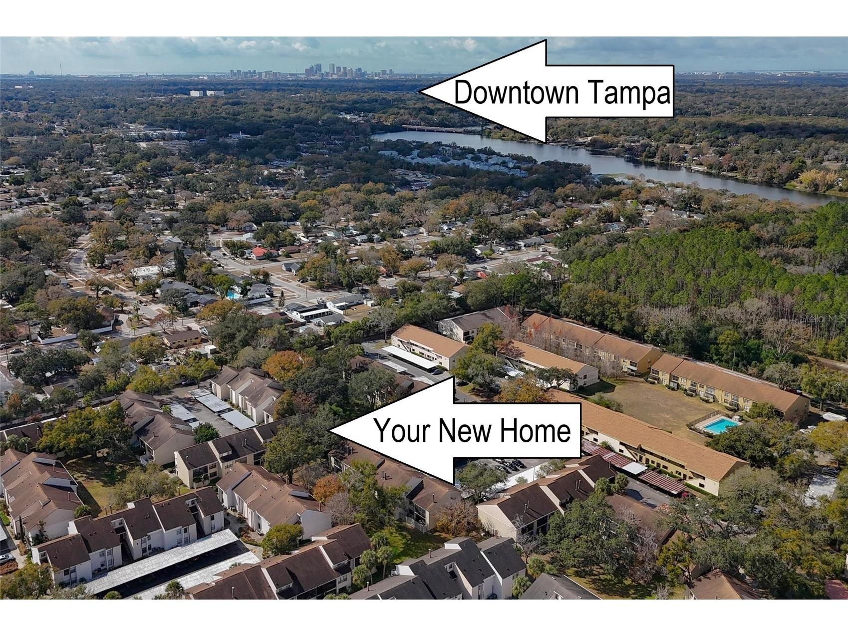 4871 Puritan Circle Tampa FL 33617 TB8476565 image36