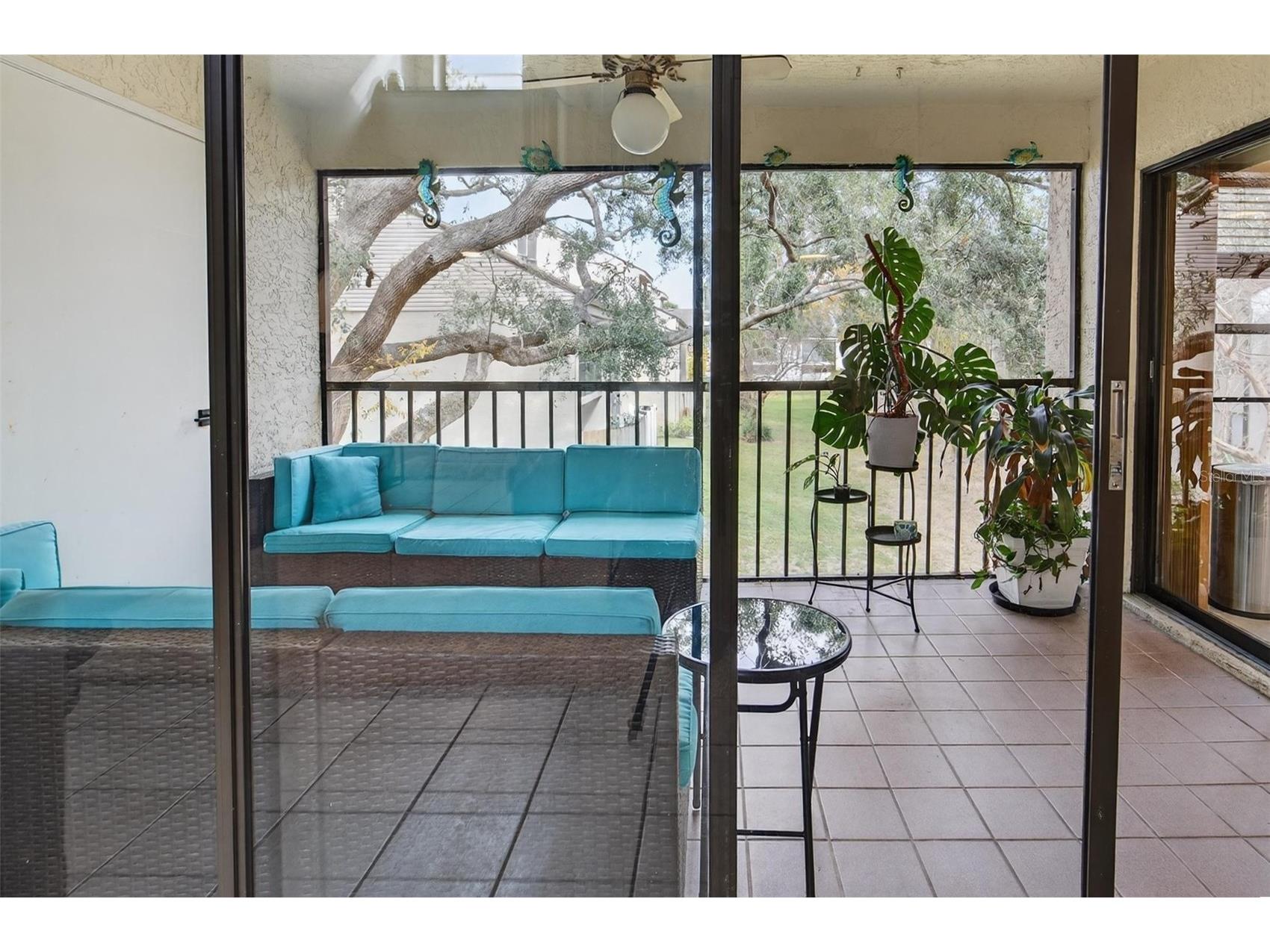 4871 Puritan Circle Tampa FL 33617 TB8476565 image7