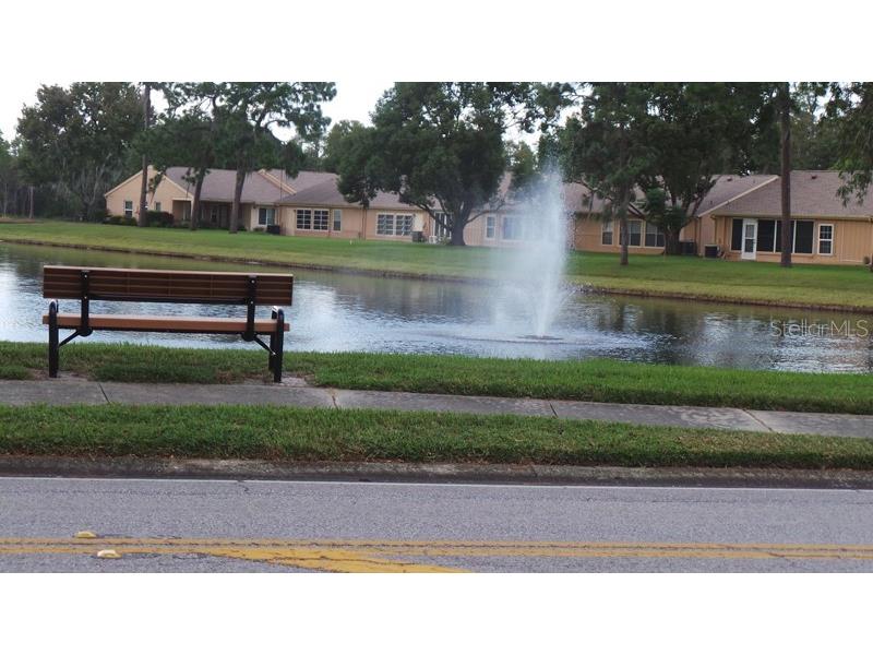 4872 Boonesboro Court New Port Richey FL 34655 W7878067 image40