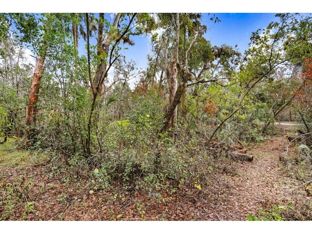 4872 Rambling River Road Brandon FL 33511 - ALAFIA RIVER TB8431361 image25