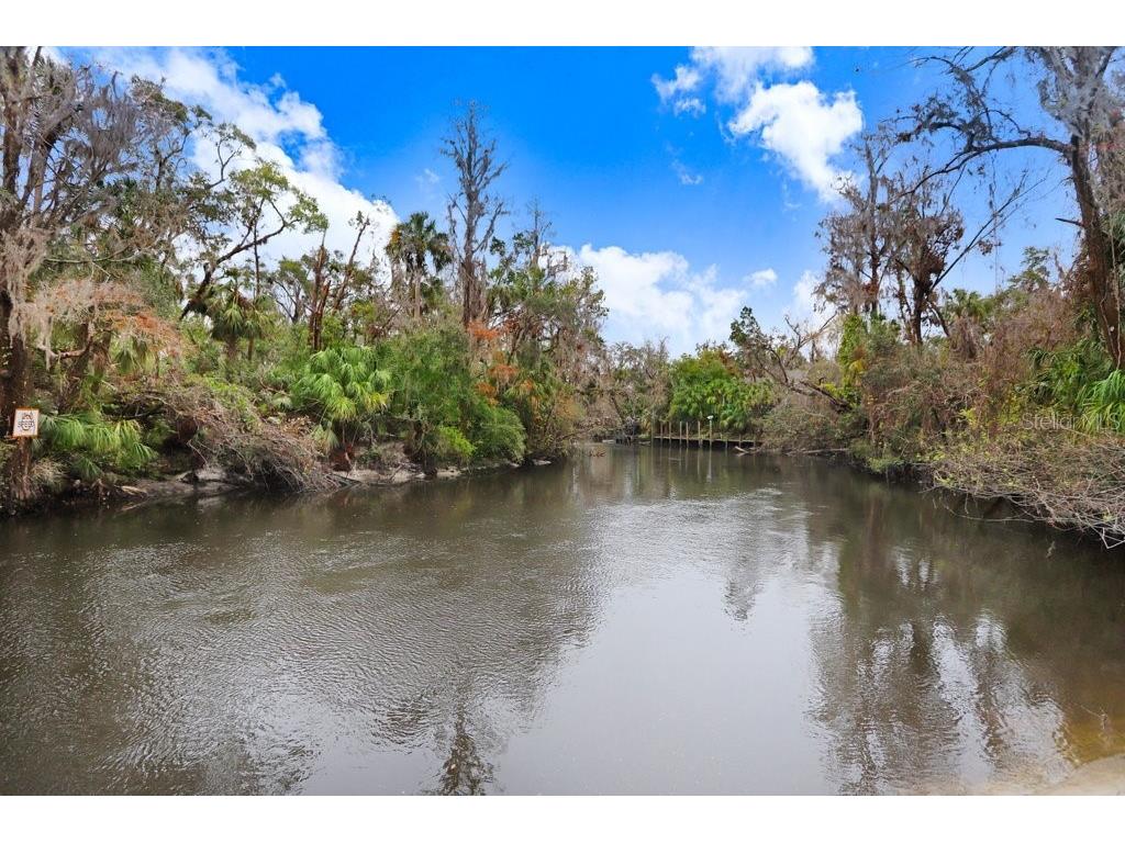 4872 Rambling River Road Brandon FL 33511 - ALAFIA RIVER TB8431361 image26