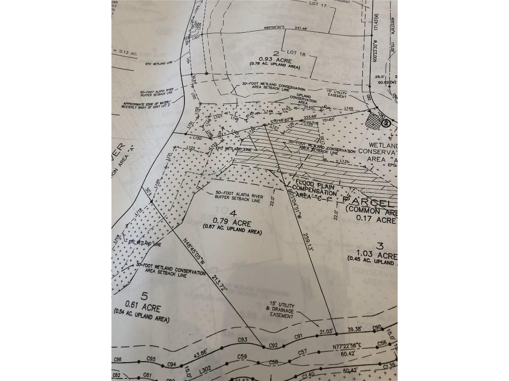 4872 Rambling River Road Brandon FL 33511 - ALAFIA RIVER TB8431361 image29