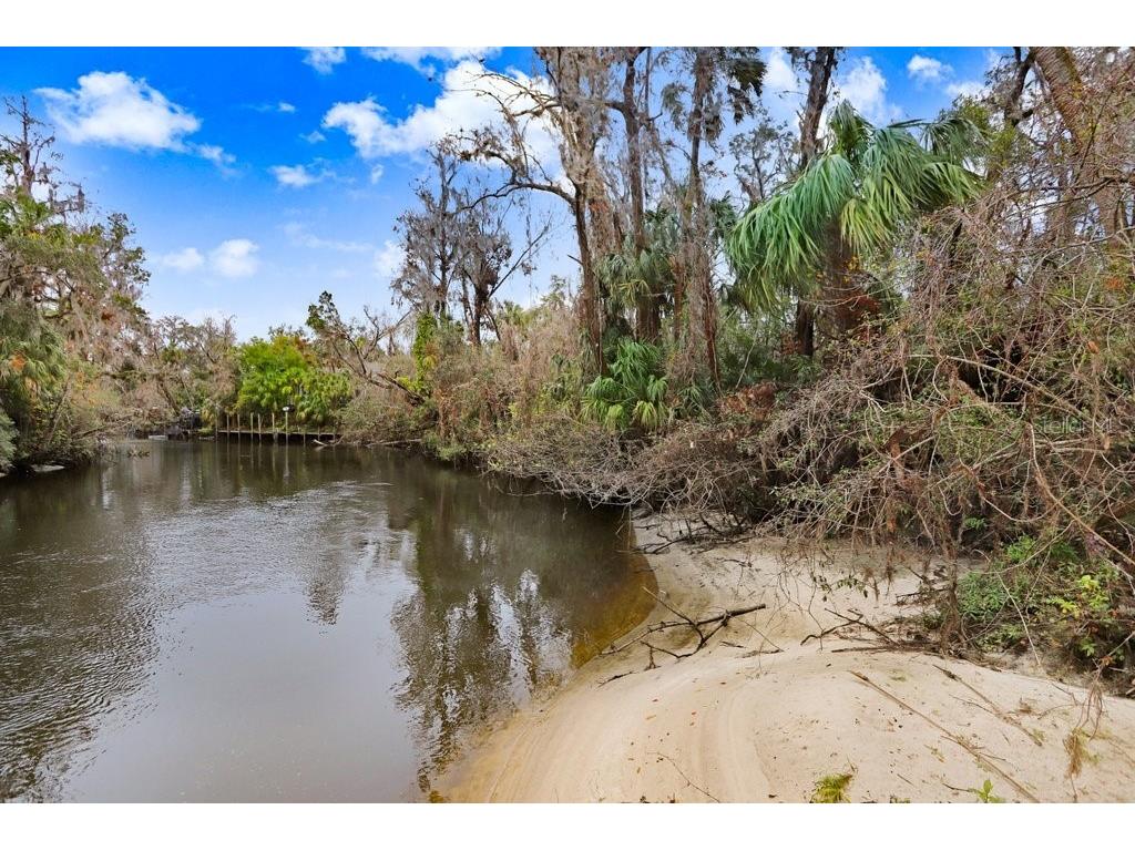 4872 Rambling River Road Brandon FL 33511 - ALAFIA RIVER TB8431361 image3