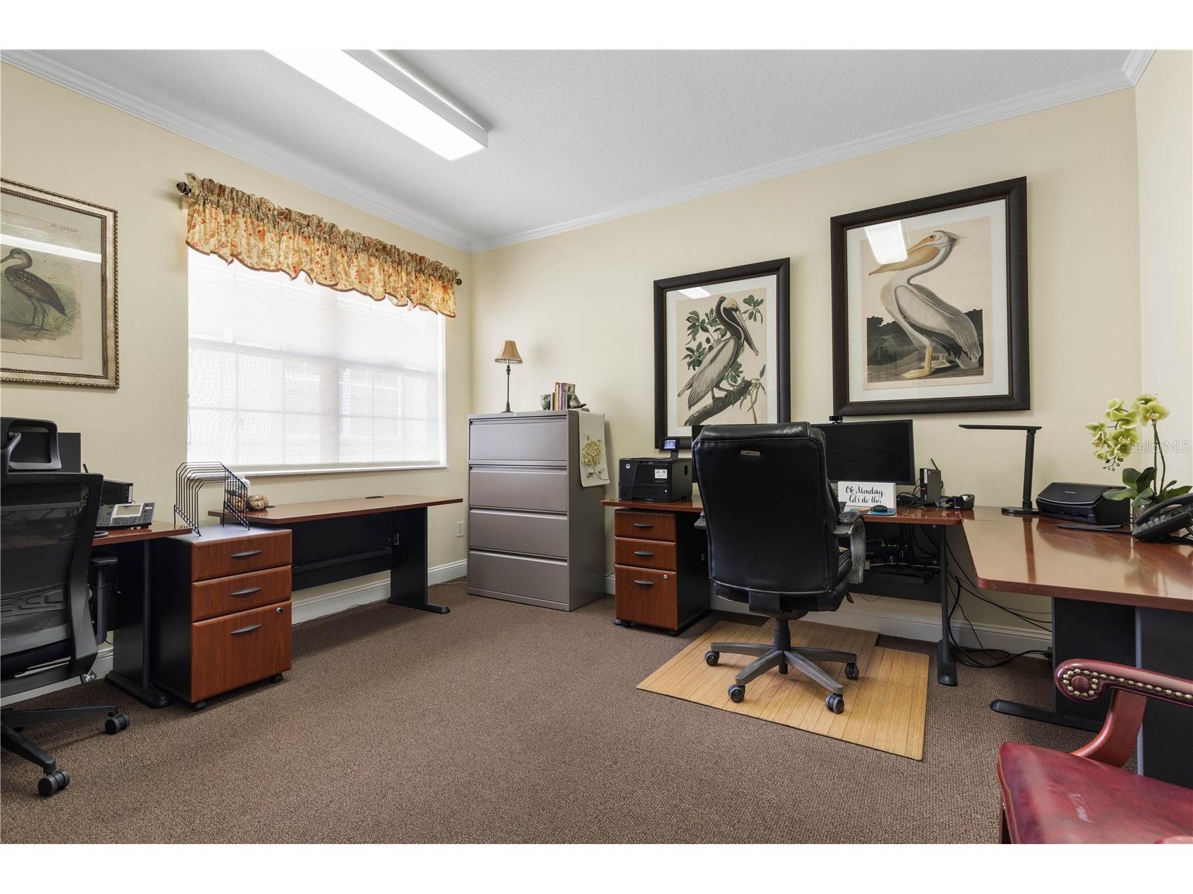 4873 Palm Coast Parkway NW #3 Palm Coast FL 32137 FC316123 image15