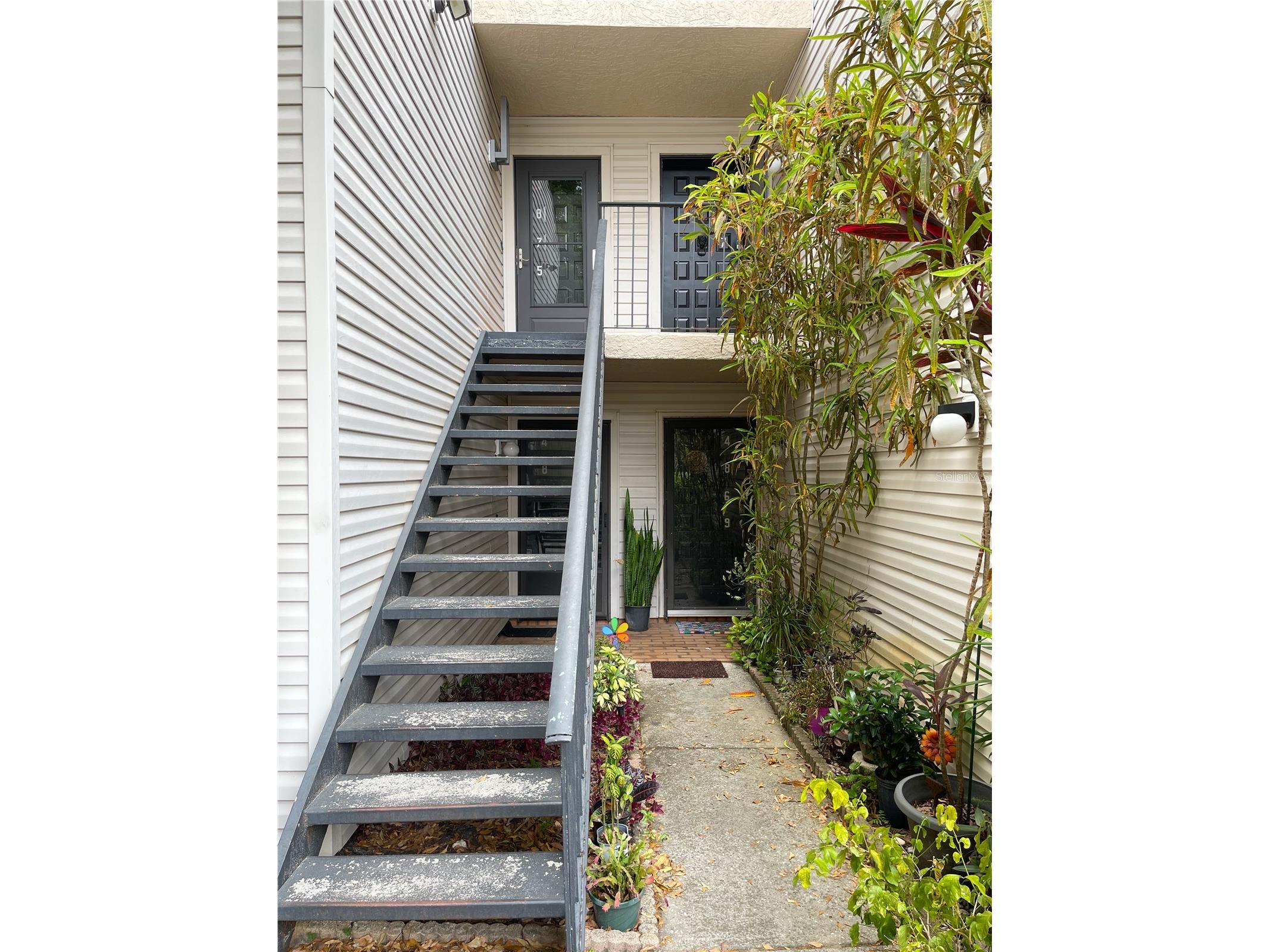 4873 Puritan Circle #2401 Tampa FL 33617 TB8490574 image1