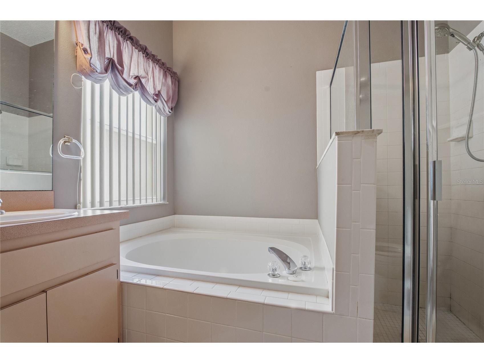 4874 Mill Run Drive New Port Richey FL 34653 W7882672 image18