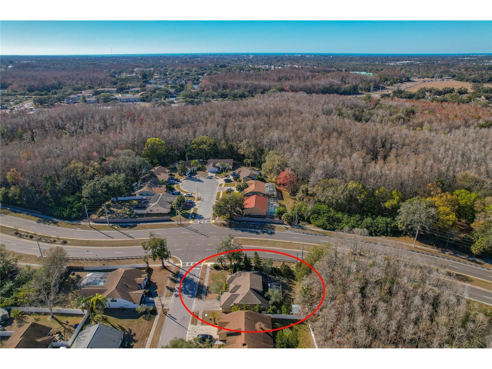 4874 Mill Run Drive New Port Richey FL 34653 W7882672 image29