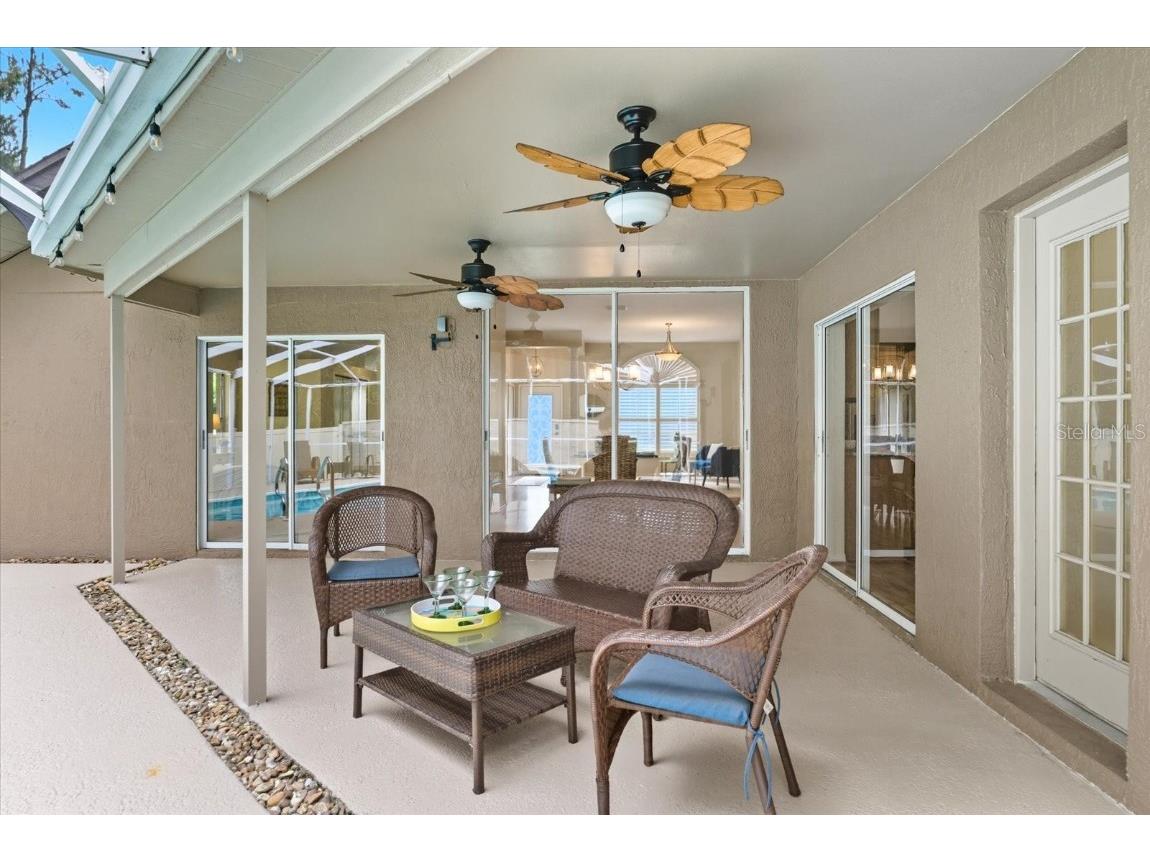 4875 Eagle Cove North Drive Palm Harbor FL 34685 TB8437776 image29