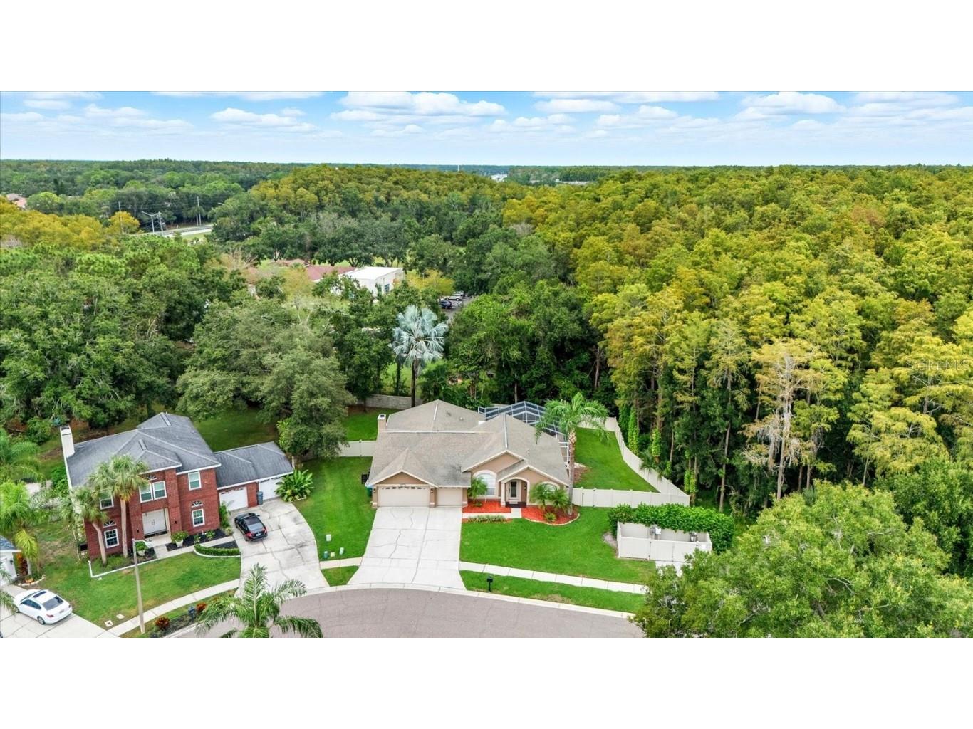 4875 Eagle Cove North Drive Palm Harbor FL 34685 TB8437776 image37