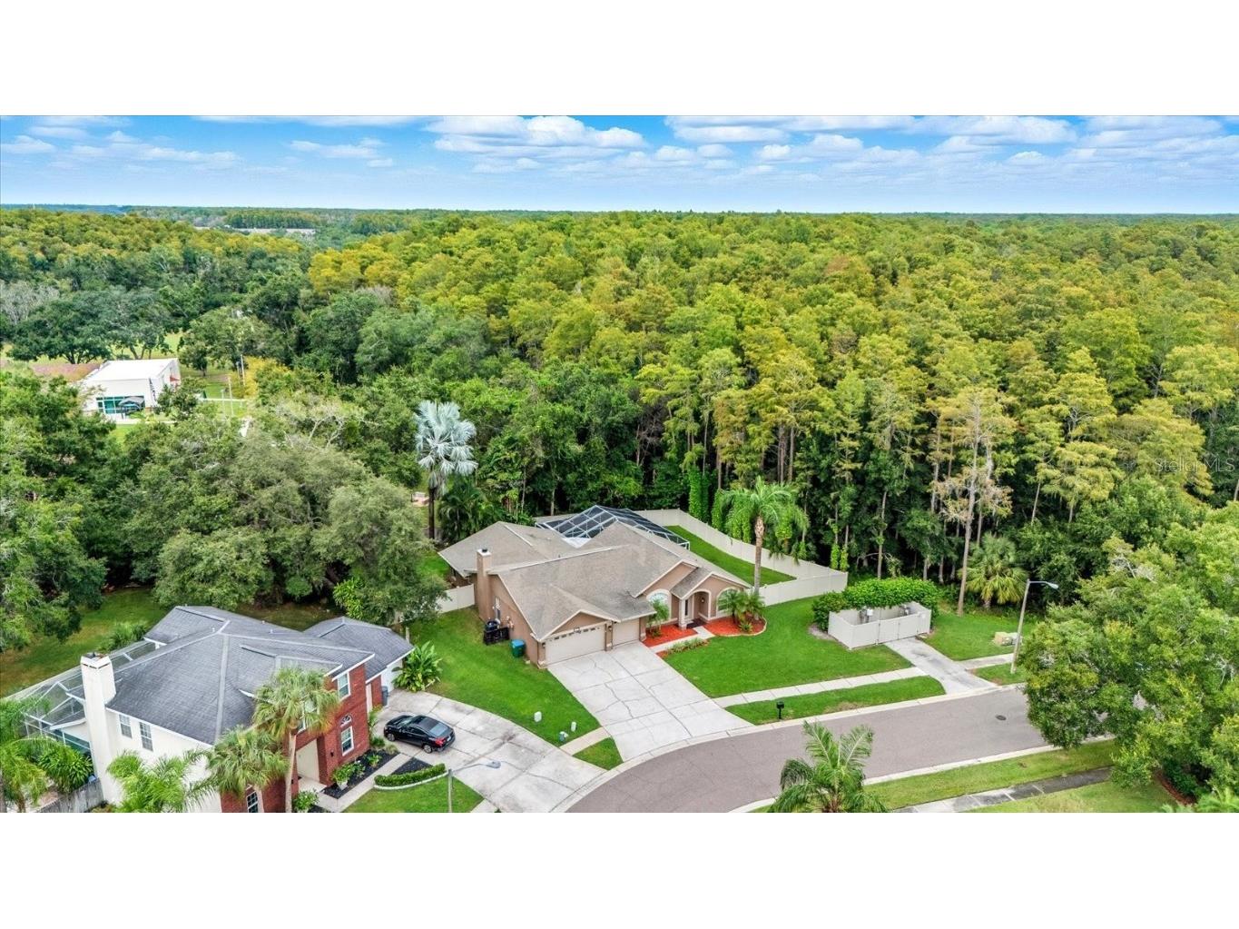 4875 Eagle Cove North Drive Palm Harbor FL 34685 TB8437776 image38