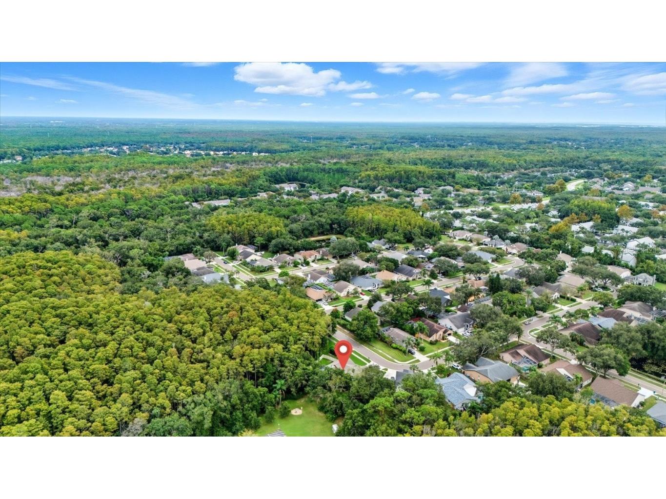 4875 Eagle Cove North Drive Palm Harbor FL 34685 TB8437776 image39