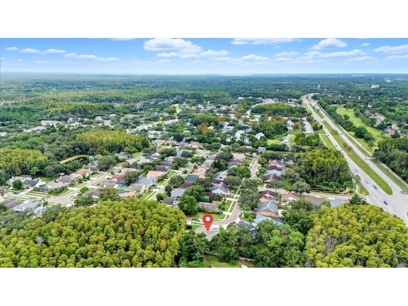 4875 Eagle Cove North Drive Palm Harbor FL 34685 TB8437776 image40