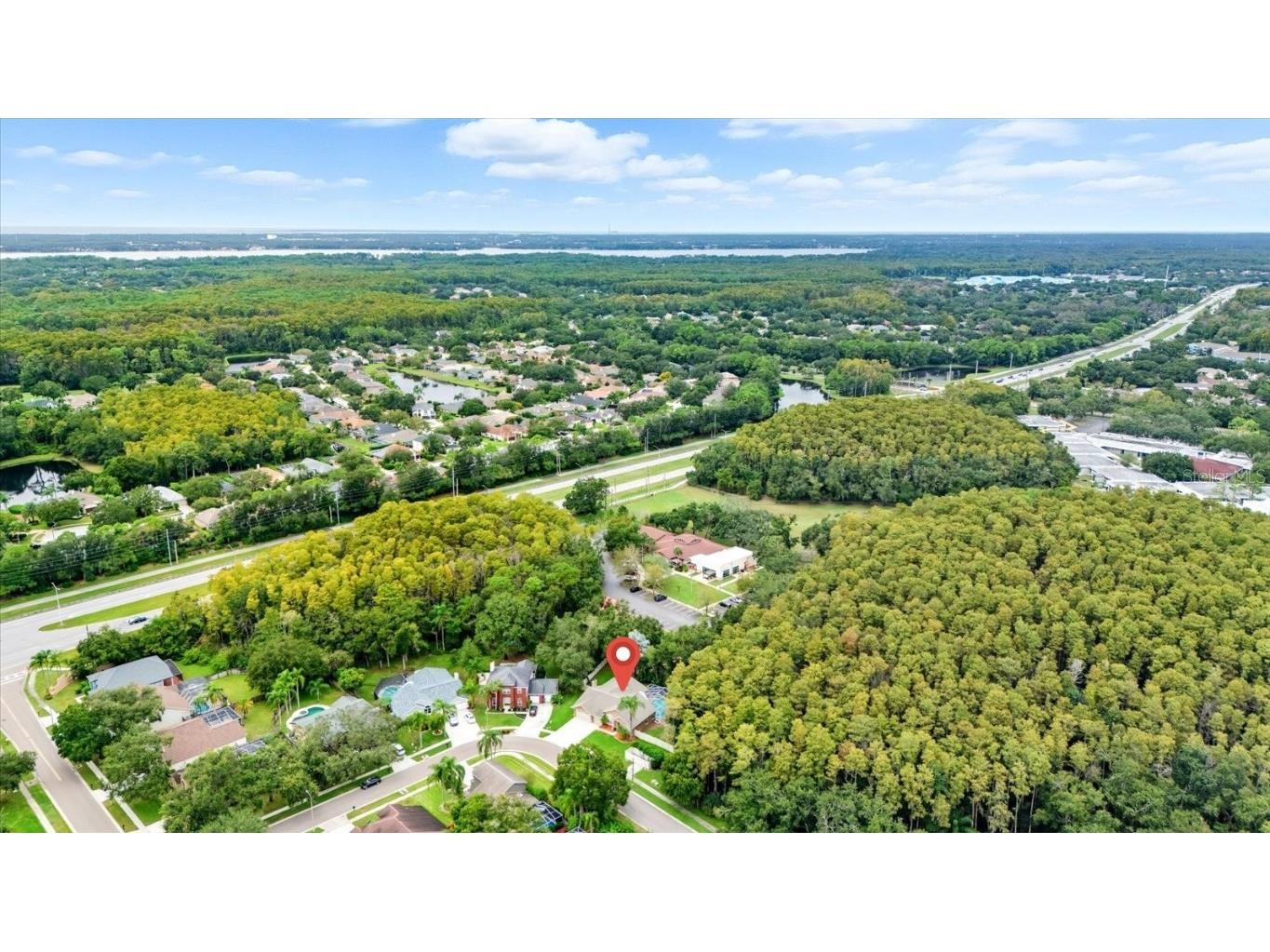 4875 Eagle Cove North Drive Palm Harbor FL 34685 TB8437776 image42