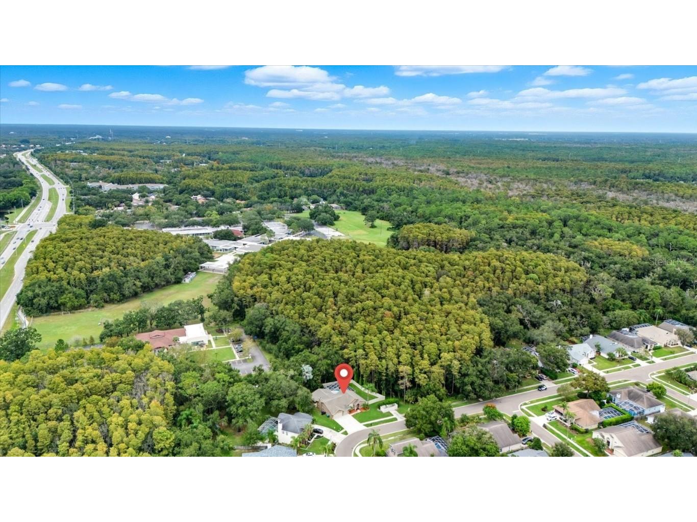 4875 Eagle Cove North Drive Palm Harbor FL 34685 TB8437776 image43