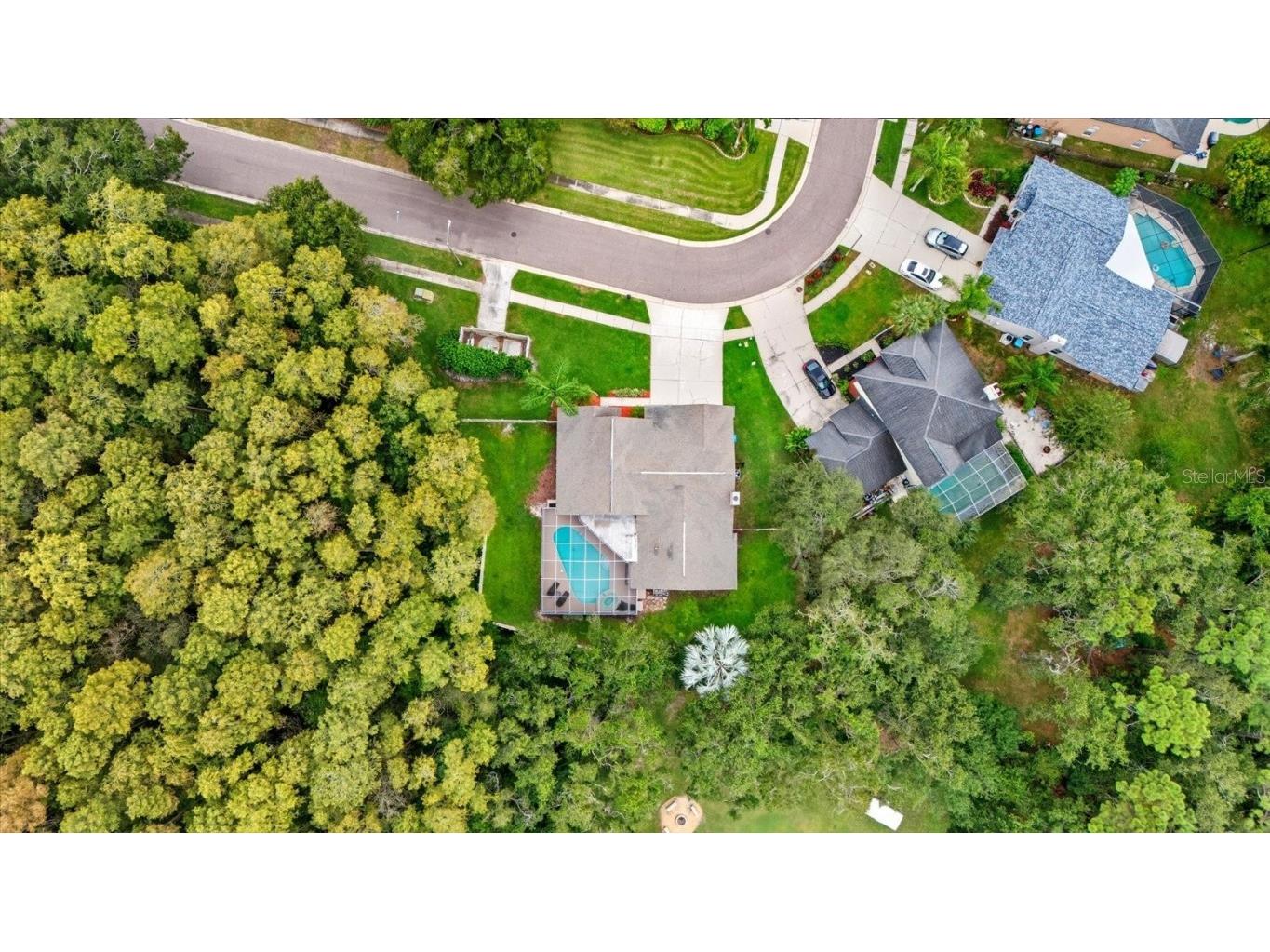 4875 Eagle Cove North Drive Palm Harbor FL 34685 TB8437776 image44