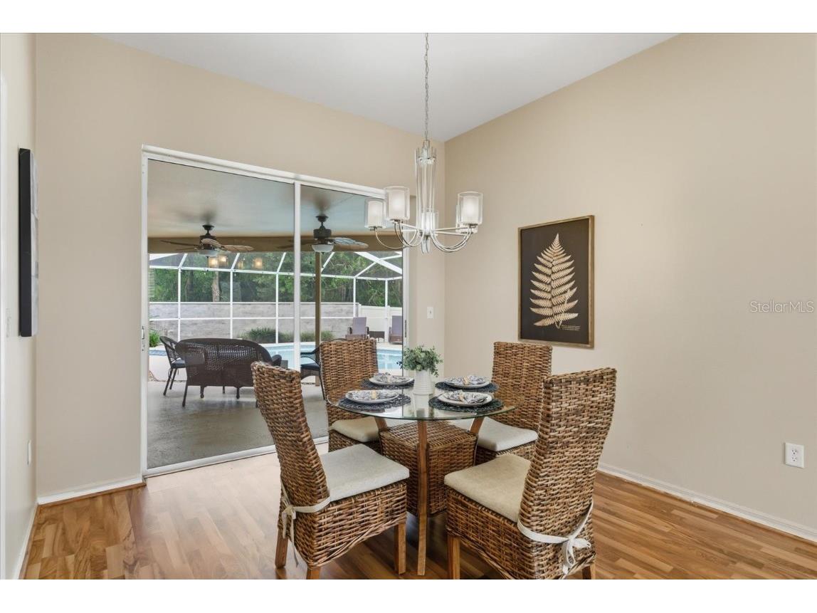 4875 Eagle Cove North Drive Palm Harbor FL 34685 TB8437776 image7