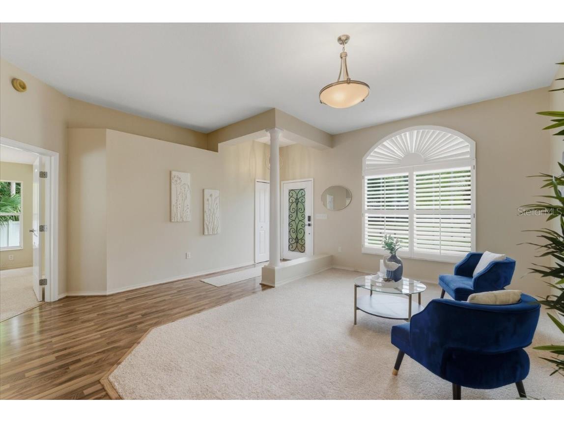 4875 Eagle Cove North Drive Palm Harbor FL 34685 TB8437776 image8