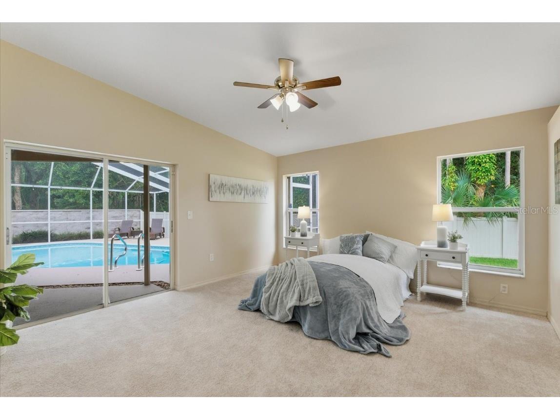 4875 Eagle Cove North Drive Palm Harbor FL 34685 TB8437776 image9