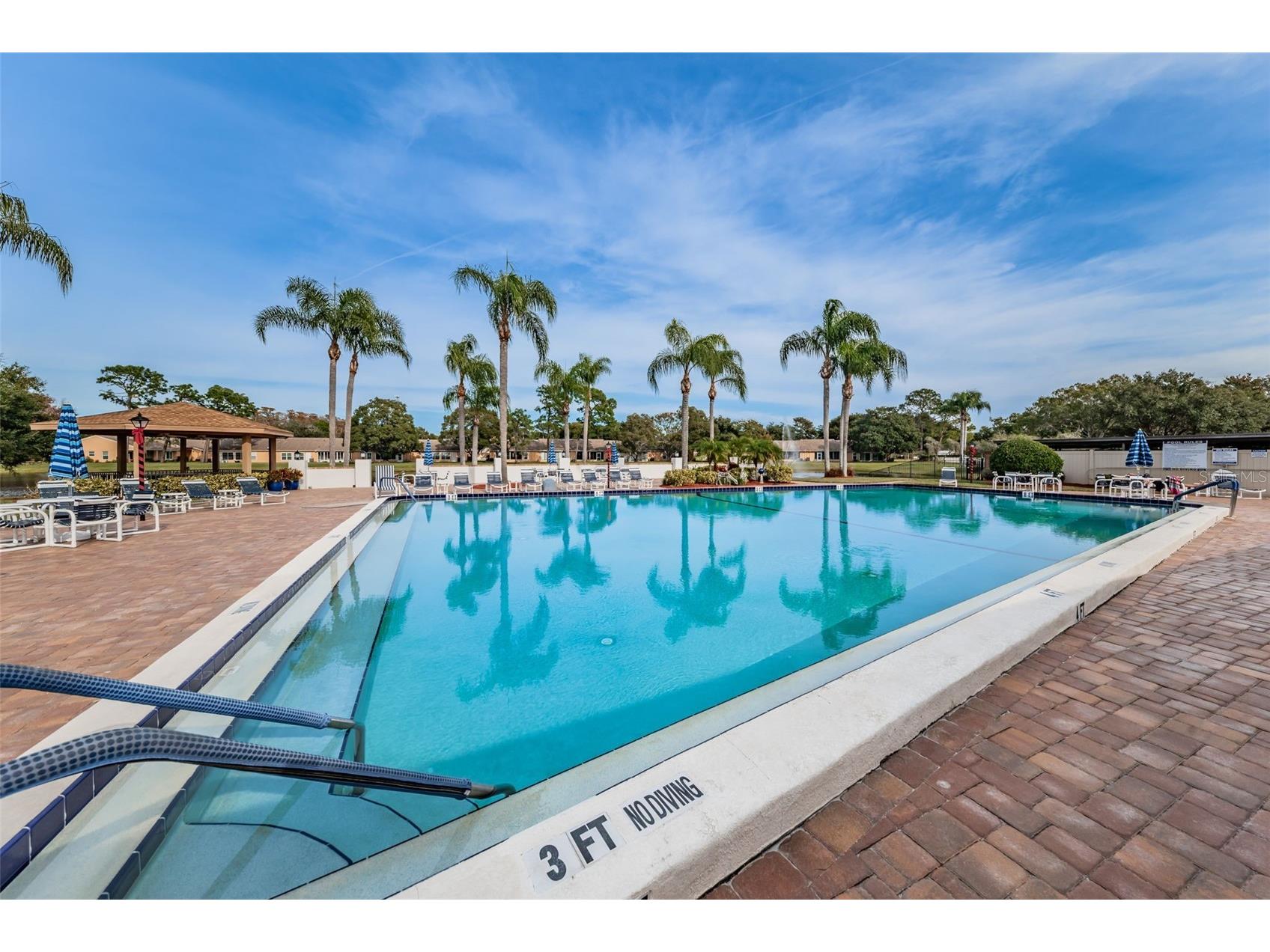 4876 Boonesboro Court New Port Richey FL 34655 W7886990 image39
