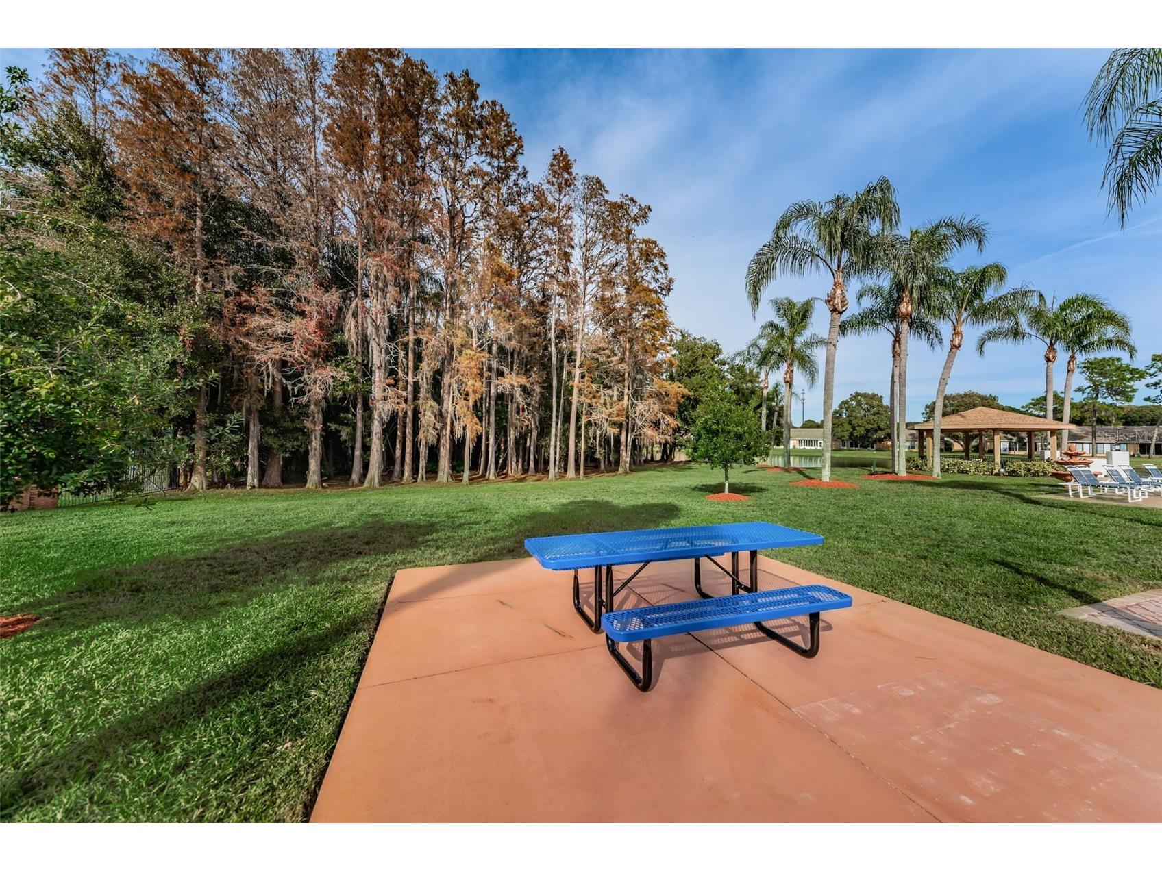 4876 Boonesboro Court New Port Richey FL 34655 W7886990 image54