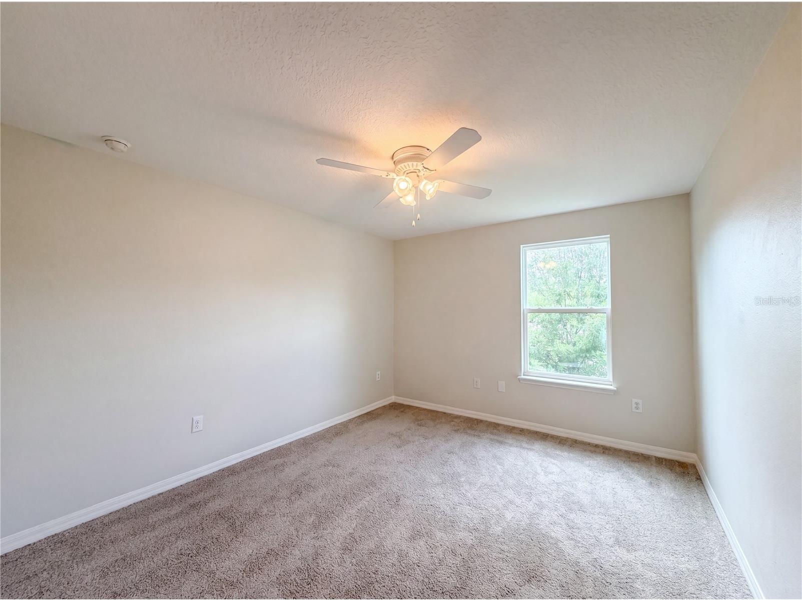 4876 Grassy Knoll Drive Tavares FL 32778 O6416211 image16