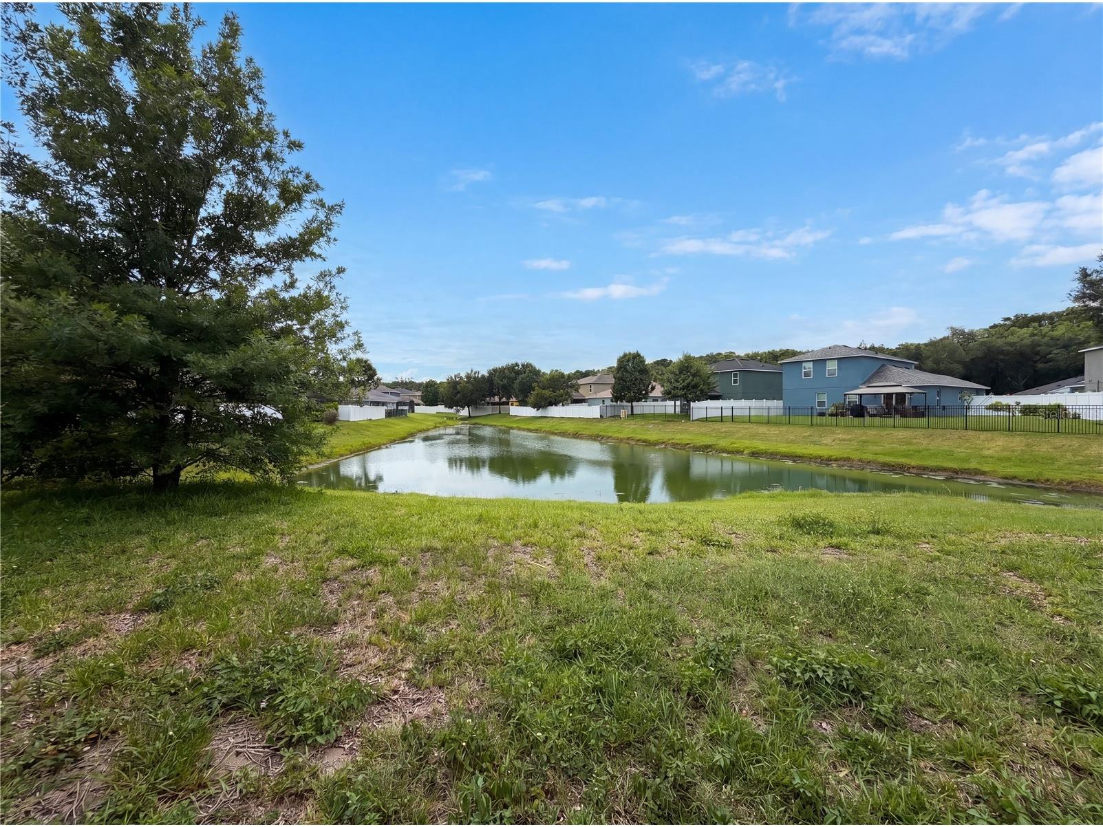 4876 Grassy Knoll Drive Tavares FL 32778 O6416211 image20