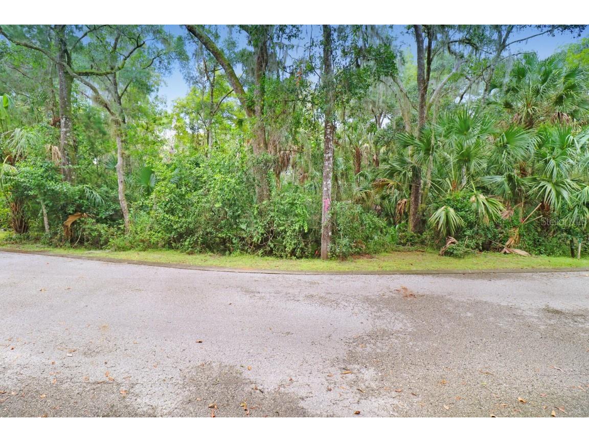 4876 Rambling River Road Brandon FL 33511 T3528414 image1