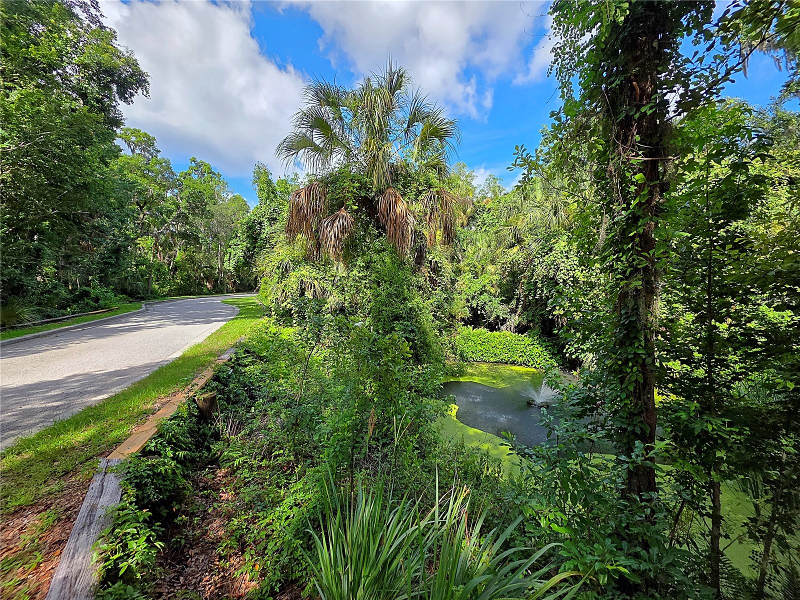 4876 Rambling River Road Brandon FL 33511 TB8520753 image10
