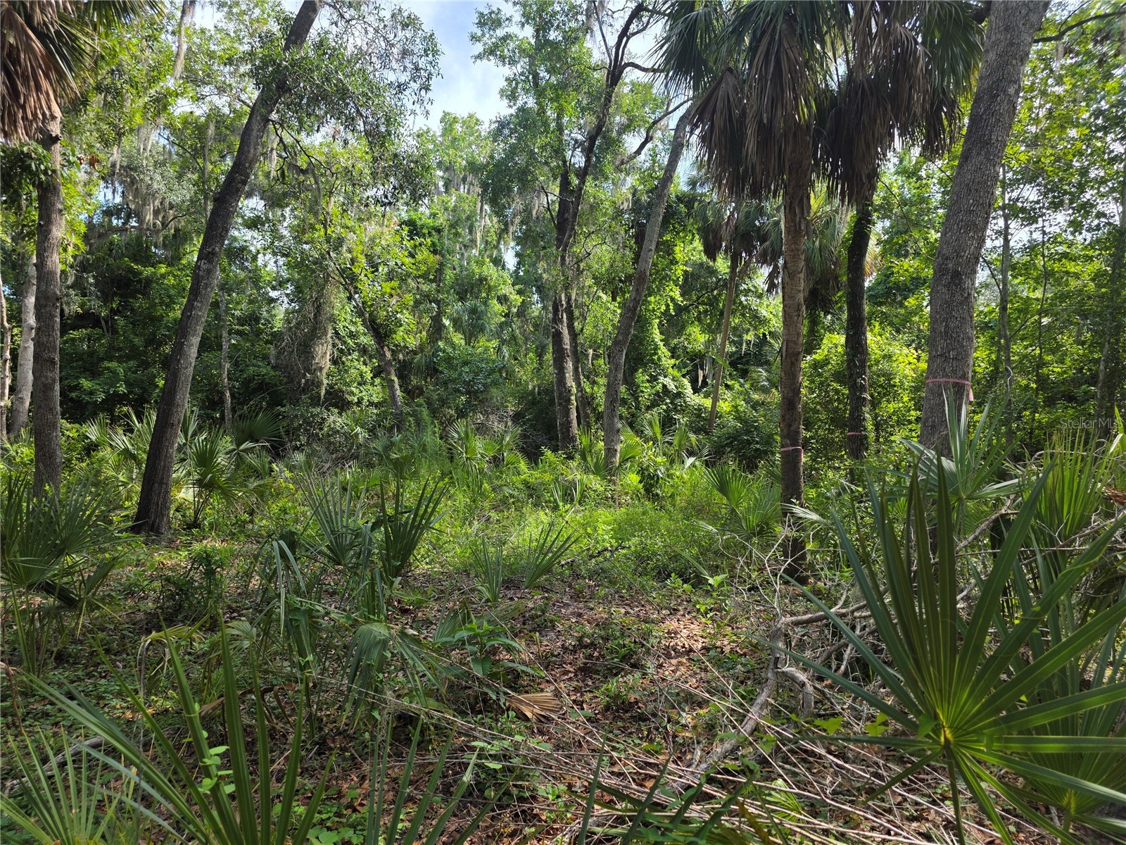 4876 Rambling River Road Brandon FL 33511 TB8520753 image6