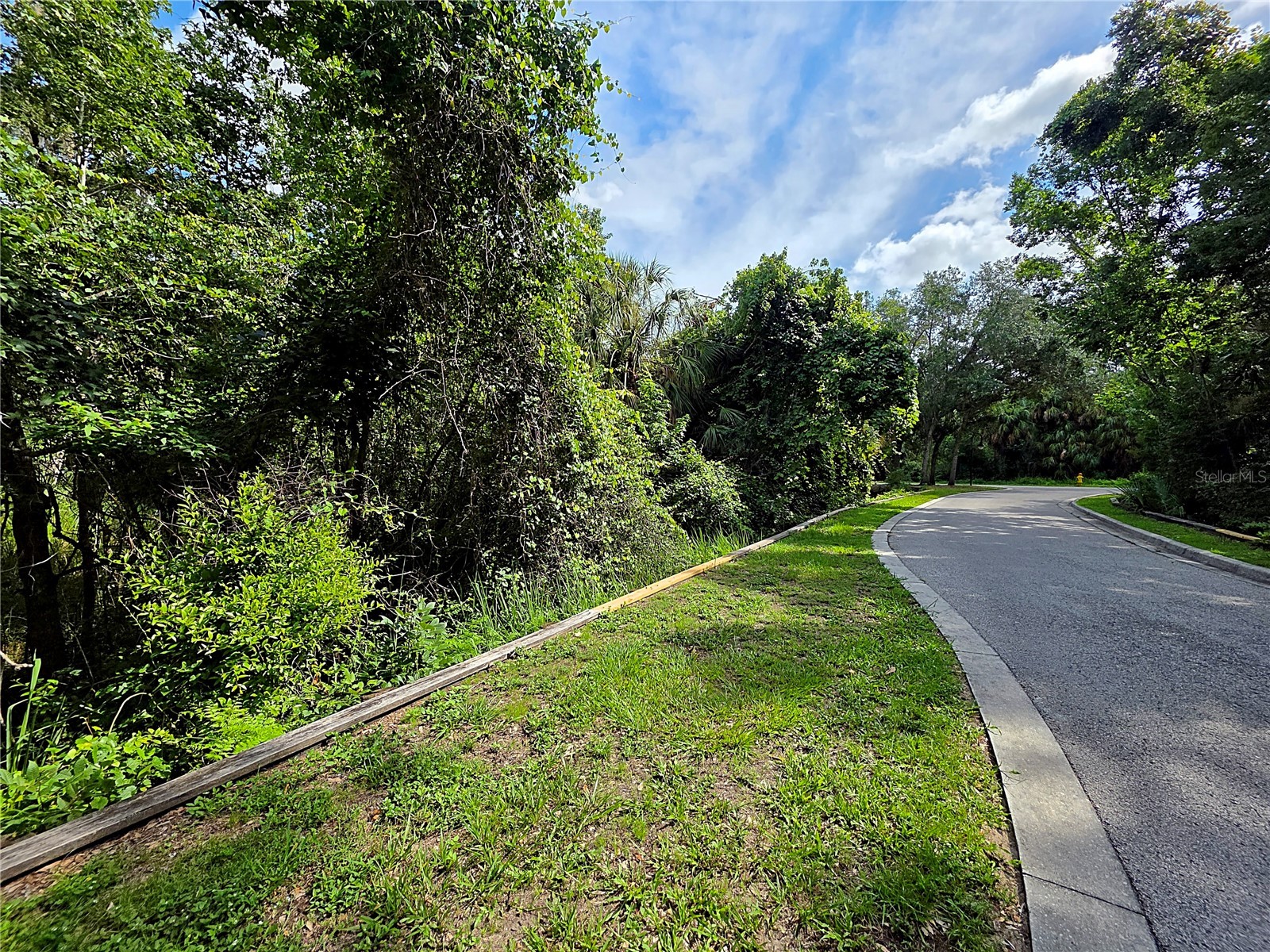 4876 Rambling River Road Brandon FL 33511 TB8520753 image8