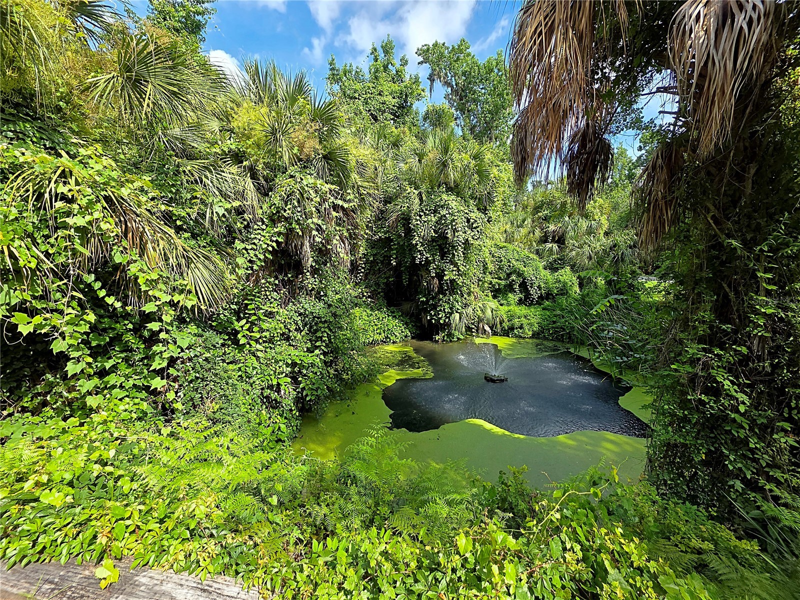 4876 Rambling River Road Brandon FL 33511 TB8520753 image9