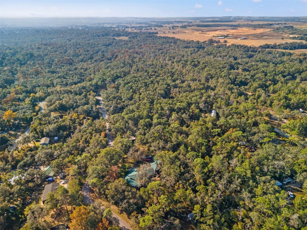 4877 Merlin Circle Dade City FL 33523 W7880928 image10