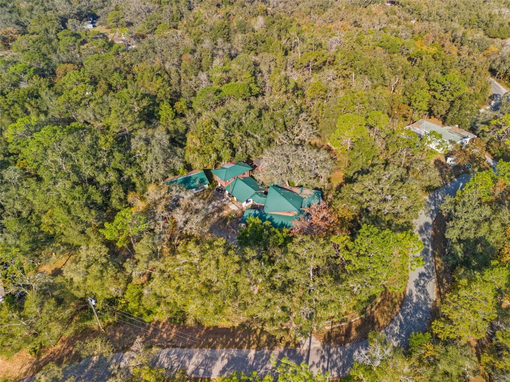 4877 Merlin Circle Dade City FL 33523 W7880928 image8