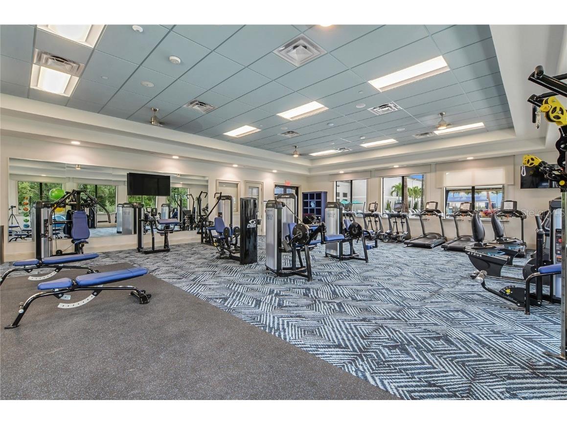 4878 Avila Lakes Drive Wimauma FL 33598 TB8455941 image42