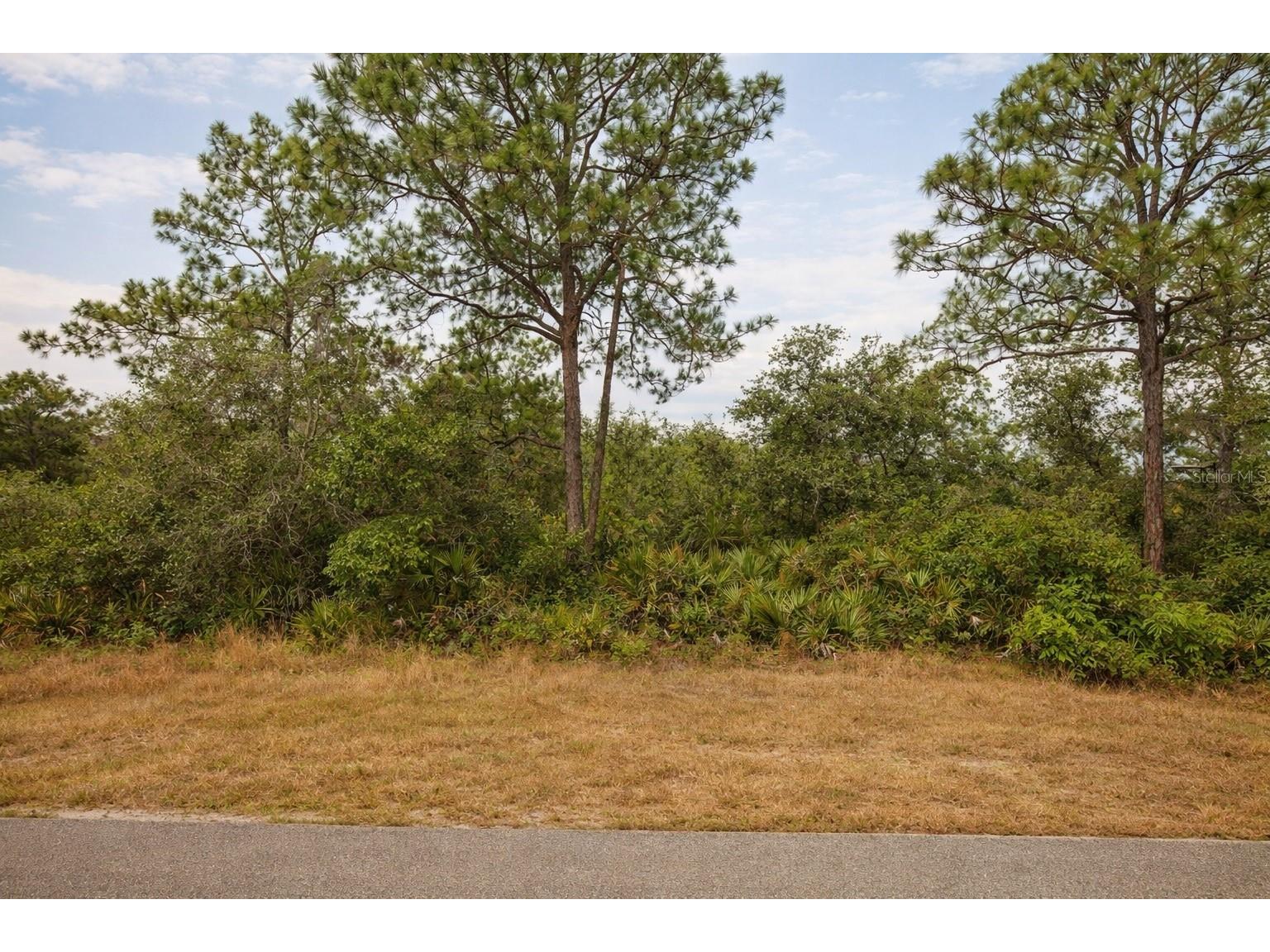 4878 San Ignacio Drive Sebring FL 33872 O6399471 image3