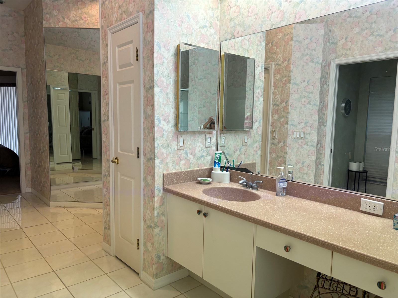 4878 Sherbrook Drive Oldsmar FL 34677 TB8514427 image10