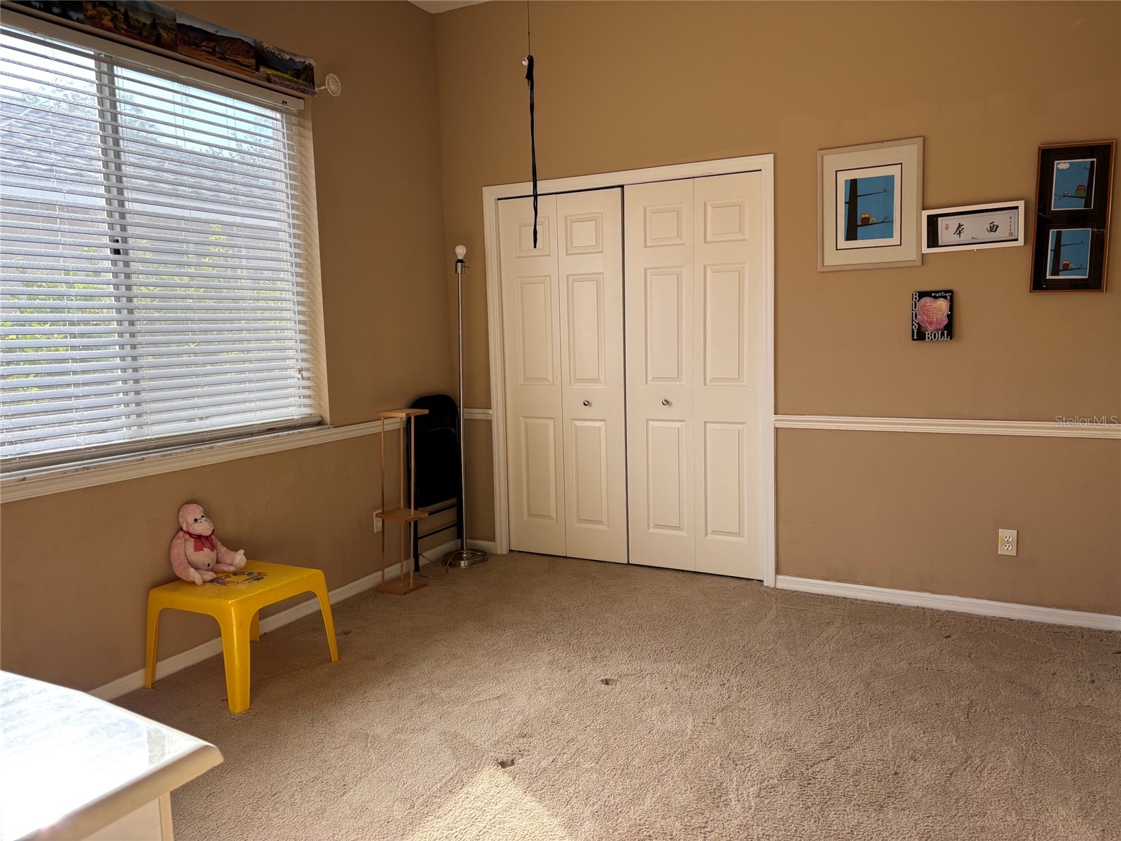 4878 Sherbrook Drive Oldsmar FL 34677 TB8514427 image13