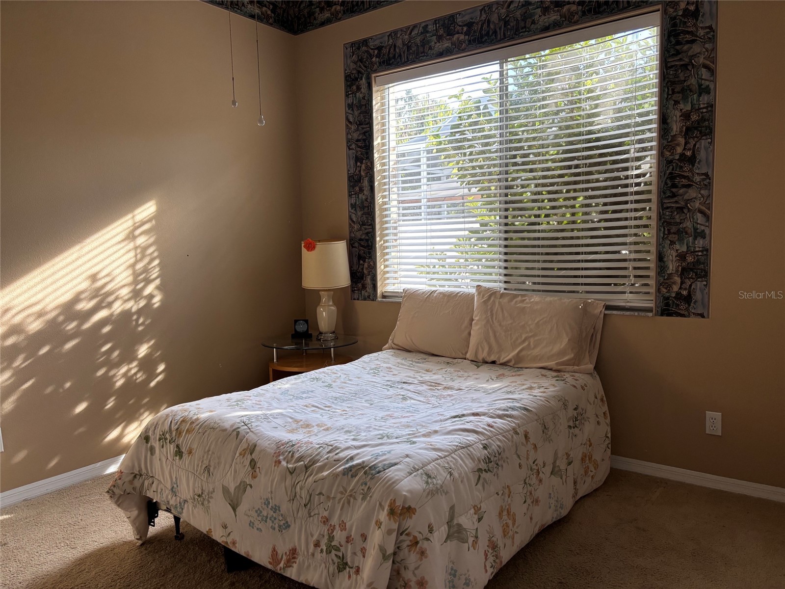 4878 Sherbrook Drive Oldsmar FL 34677 TB8514427 image17