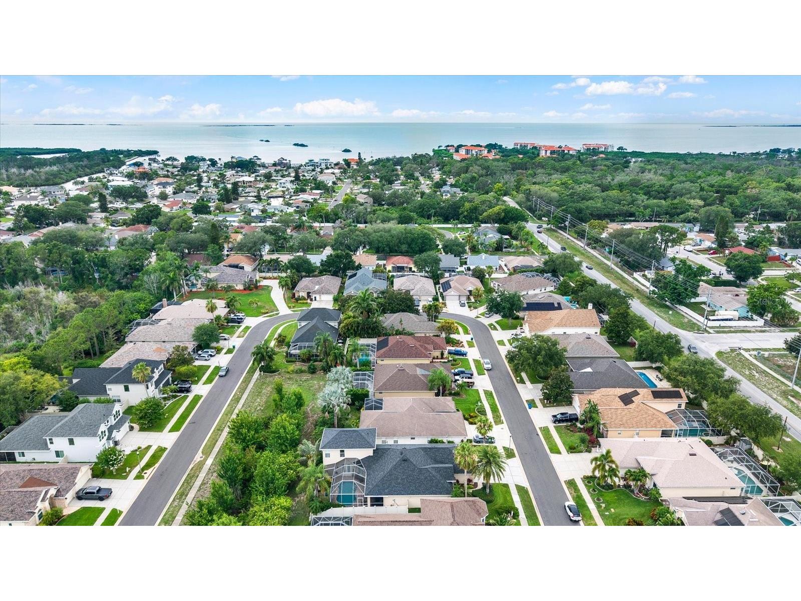 4878 W Breeze Circle Palm Harbor FL 34683 TB8513262 image33