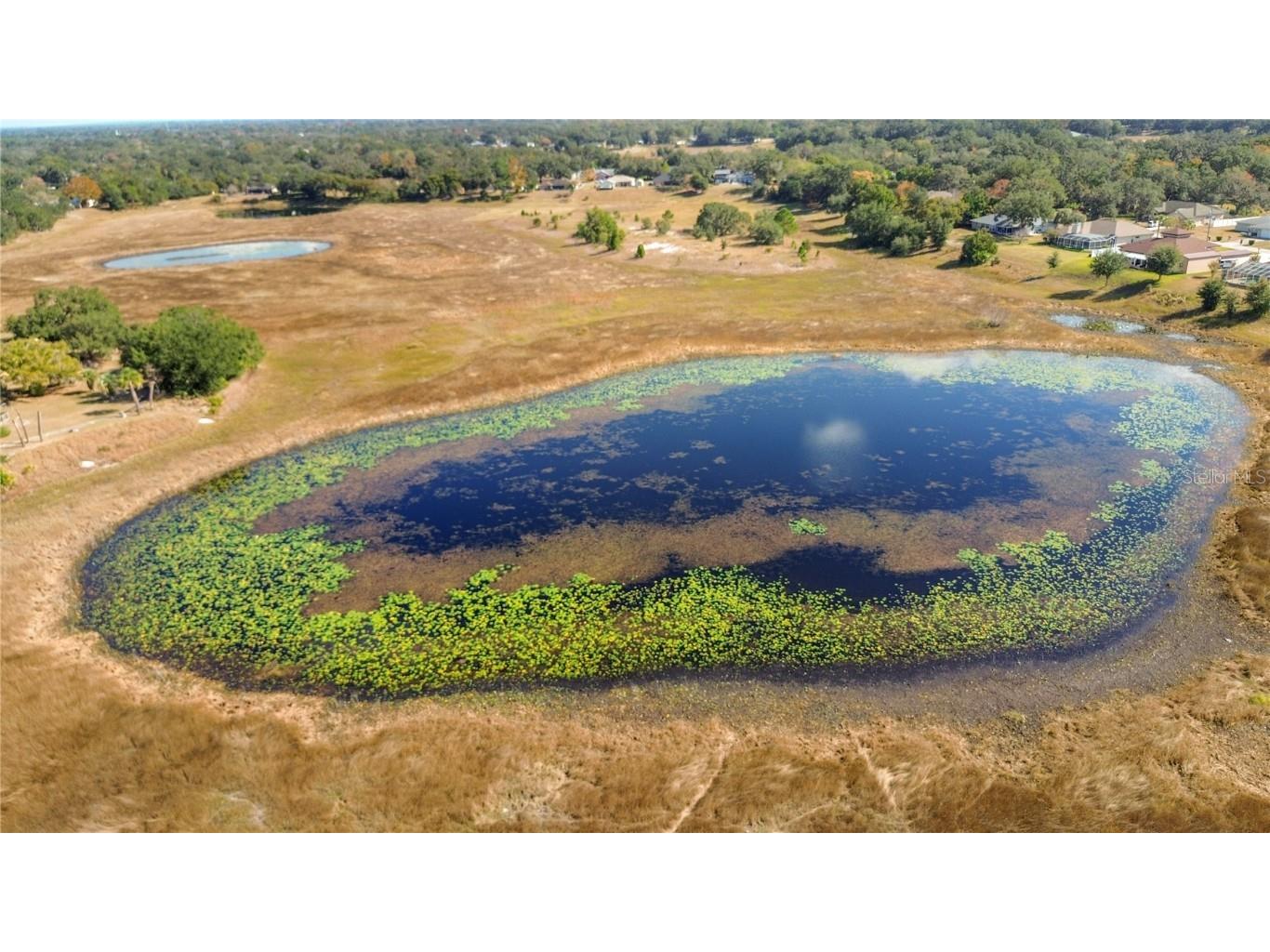 488 Fieldstone Lane Spring Hill FL 34606 - Balsam Lake TB8451608 image44