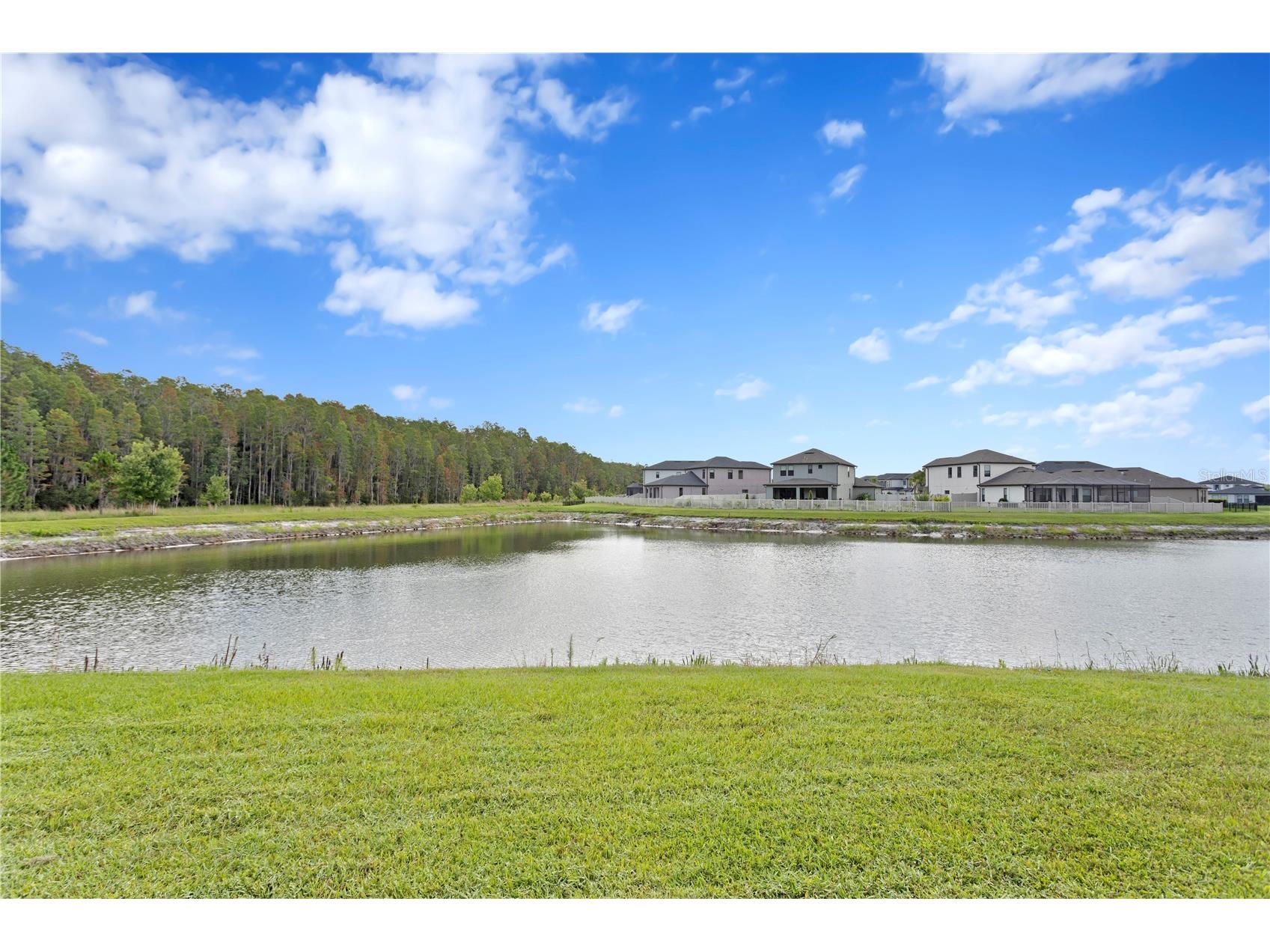 4880 Isola Court Wesley Chapel FL 33543 TB8502148 image2