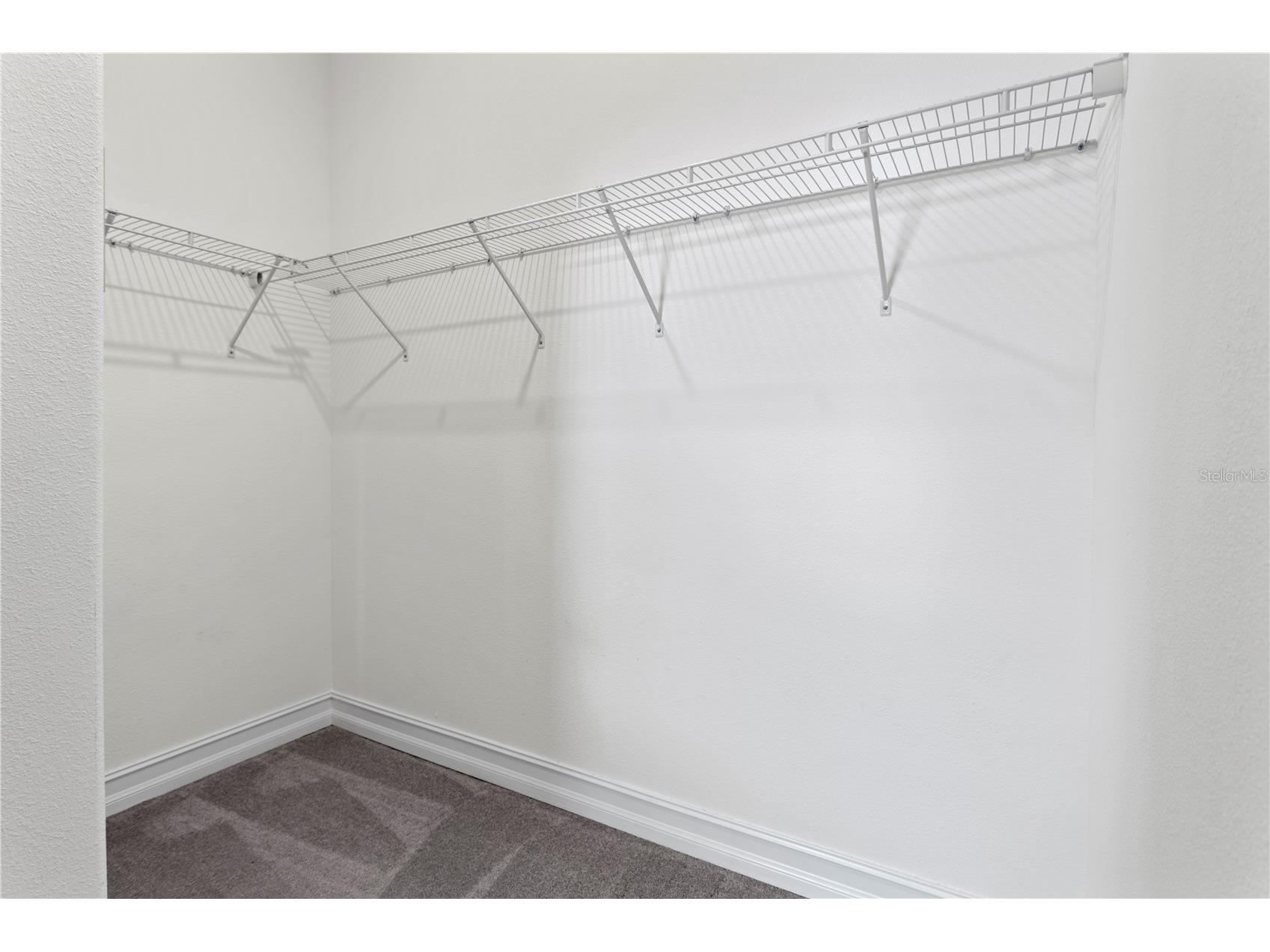 4880 Isola Court Wesley Chapel FL 33543 TB8502148 image25