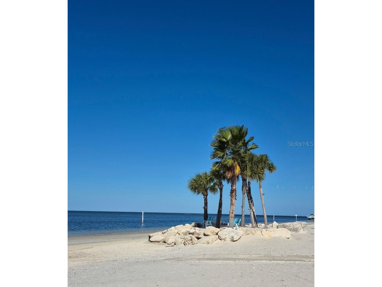 4880 Shell Stream Boulevard New Port Richey FL 34652 TB8443570 image21