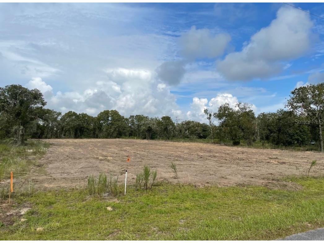 4880 SW Marigold Court Dunnellon FL 34431 OM705392 image1