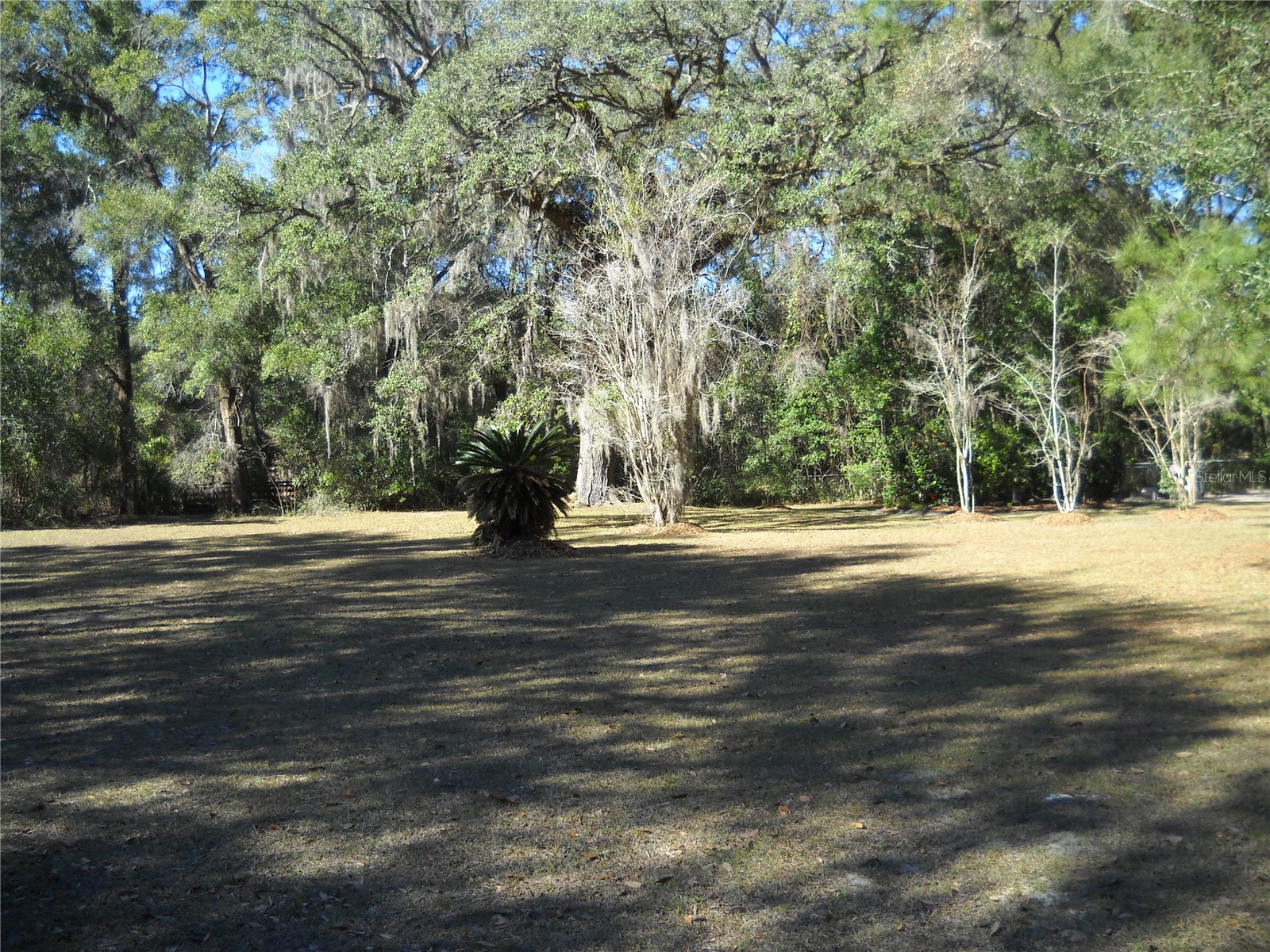 4881 NW 69th Street Ocala FL 34482 OM719469 image32